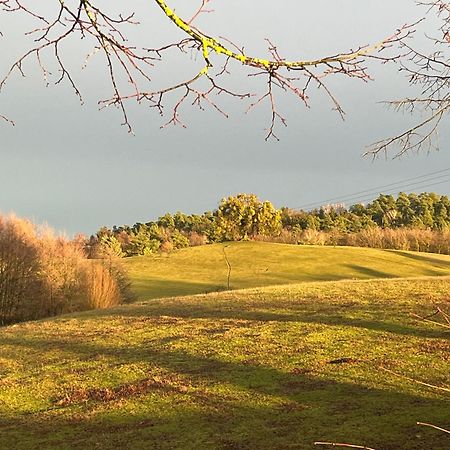 Kleine Backsteinloft Leilighet Templin Eksteriør bilde